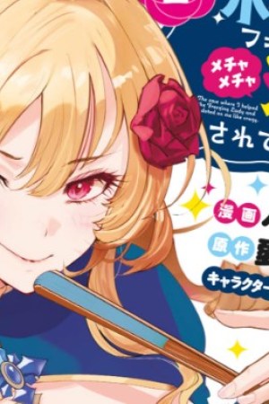 Sampul Hyouketsu Reijou-sama wo Follow Shitara, Mechamecha Dekiai Sareteshimatta Ken