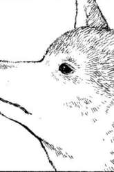 Manga Kyou no Sanponta gambar 2