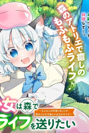 Sampul Nekomimi Shoujo wa Mori de Slow Life wo Okuritai: Mofumofu wa Shomou Shimashita ga, Seijo to ka Ouji-sama to ka wa Chuumongai desu