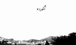 Nijigahara Holograph