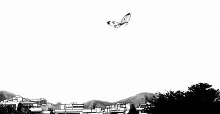 Nijigahara Holograph