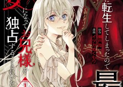 Oshi No Imouto Ni Tensei Shite Shimatta No De, Saikyou No Akujo Ni Natte Onii-sama Wo Dokusen Suru Koto Ni Itashimasu