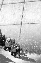 Manga Soloist in a Cage gambar 4