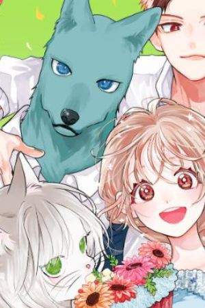 Sampul Kimi to Koete Koi ni Naru
