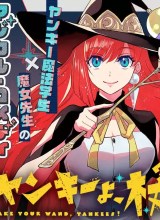 Yanki yo, Tsue o mote!