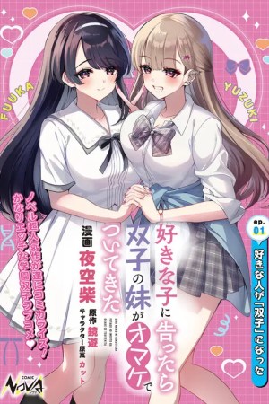 Sampul Suki na Ko ni Kokuttara Futago no Imouto ga Omake de Tsuitekita