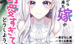 Komik Rinkoku kara Kita Yome ga Kawaisugite Doushiyou Sub Indo