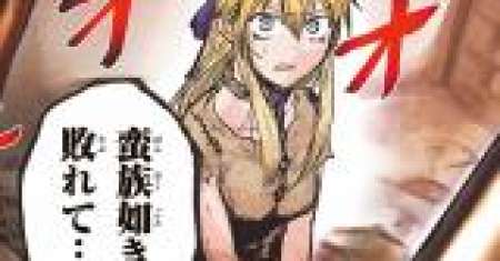 Hime Kishi wa Barbaroi no Yome (The Bride of Barbaroi)