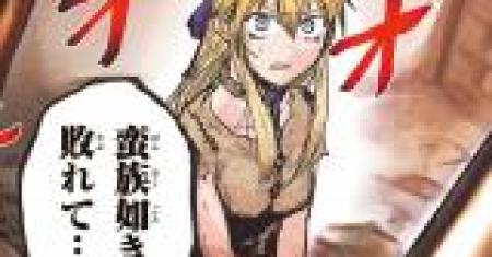 Hime Kishi wa Barbaroi no Yome (The Bride of Barbaroi)