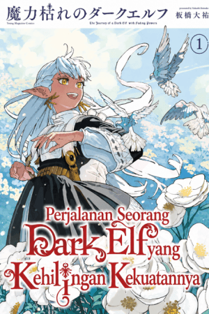Sampul The Journey of a Dark Elf with Fading Powers