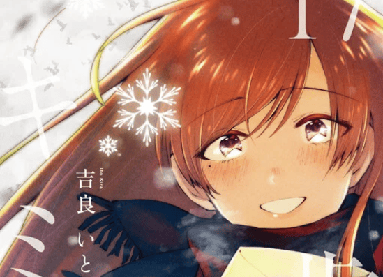 17 Sai no Kimi e