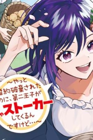 Sampul Akuyaku Reijou wa Slow Life o Enjoy Shitai!: Yatto Kon’yaku Hakisareta no ni, Daini Ouji ga Meccha Stalker Shitekurun desu kedo