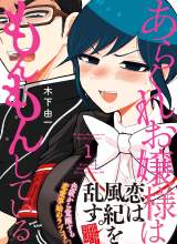 Arakure Ojousama Wa MonMon Shiteiru