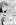 Manga Cat and Cat Endless Night gambar 1