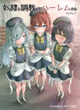 Dorei wo Choukyoushite Harem Tsukuru