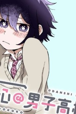 Sampul Girl’s Heart High School Boy