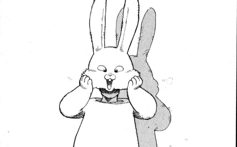Goodbye Mr. Bunny