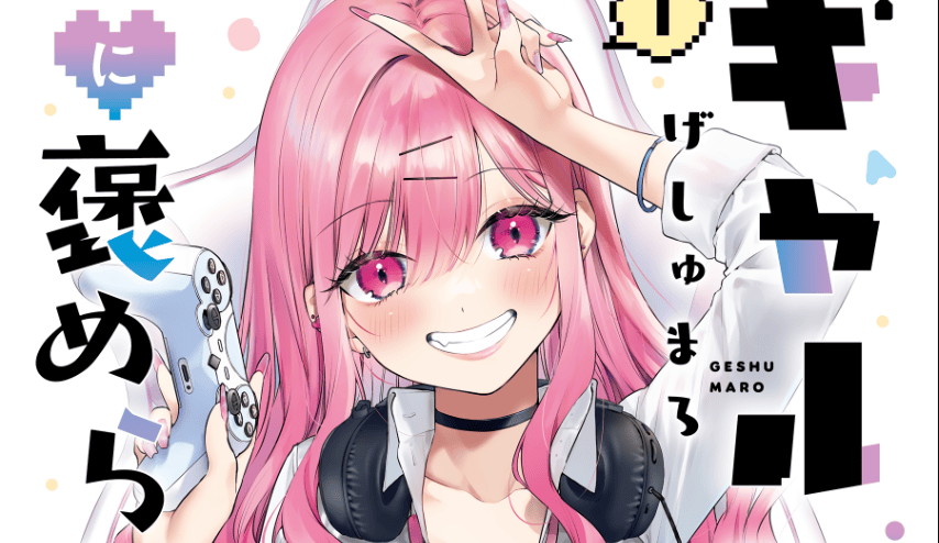 Gyaru Gamer Homeraretai