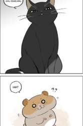Manhua Hamster gambar 2