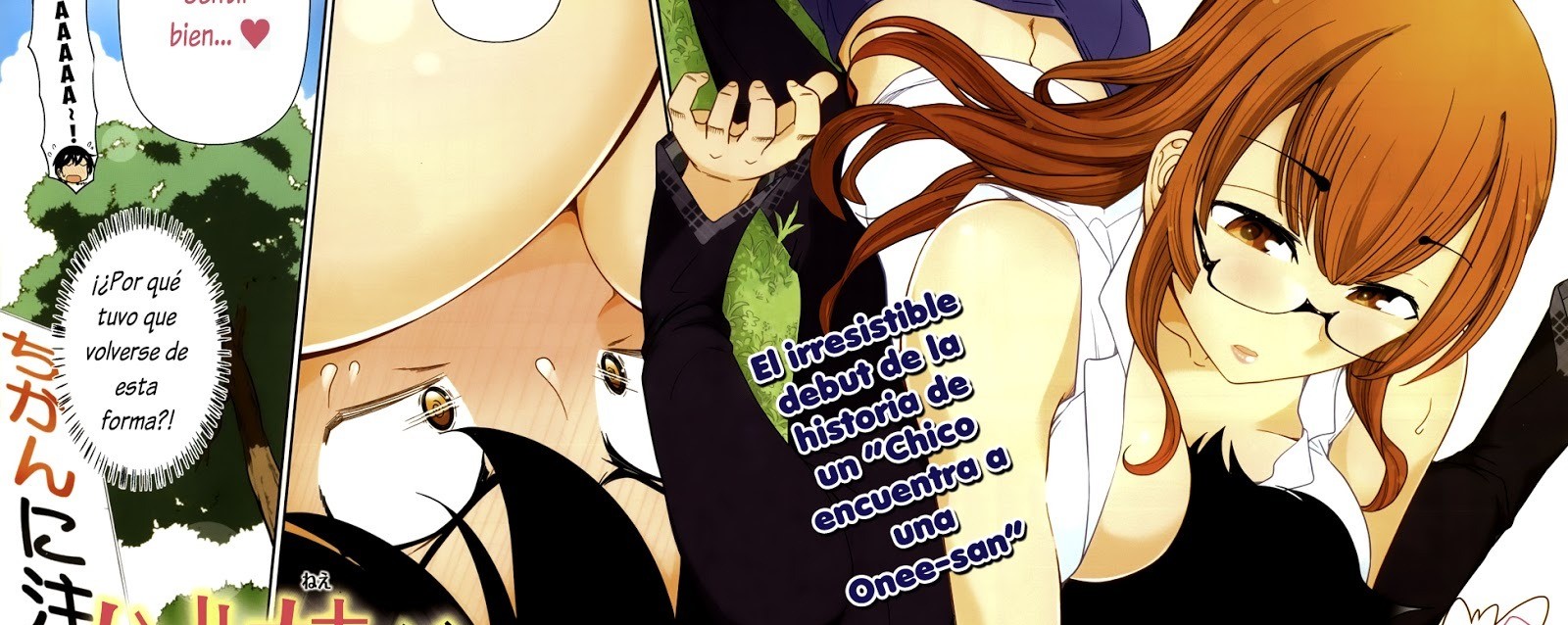 Haru-nee ga Boku ni xx Suru Riyuu