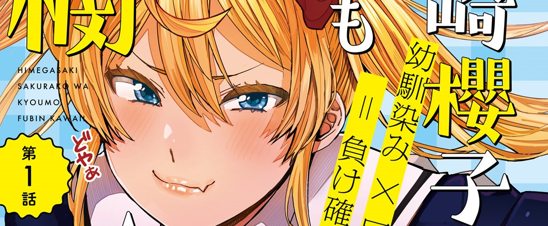 Himegasaki Sakurako wa Kyoumo Fubin Kawaii!
