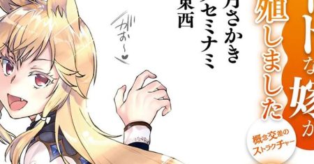Isekai de Skill wo Kaitai shitara Cheat na Yome ga Zoushoku Shimashita: Gainen Kousa no Structure