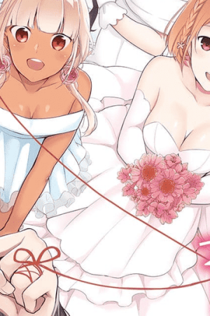 Sampul Jubunnoichi no Hanayome