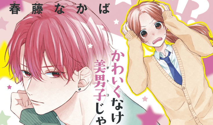 Kawaii nante Kiitenai