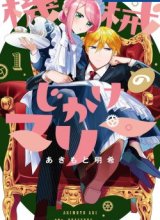 Kikai Jikake no Marie