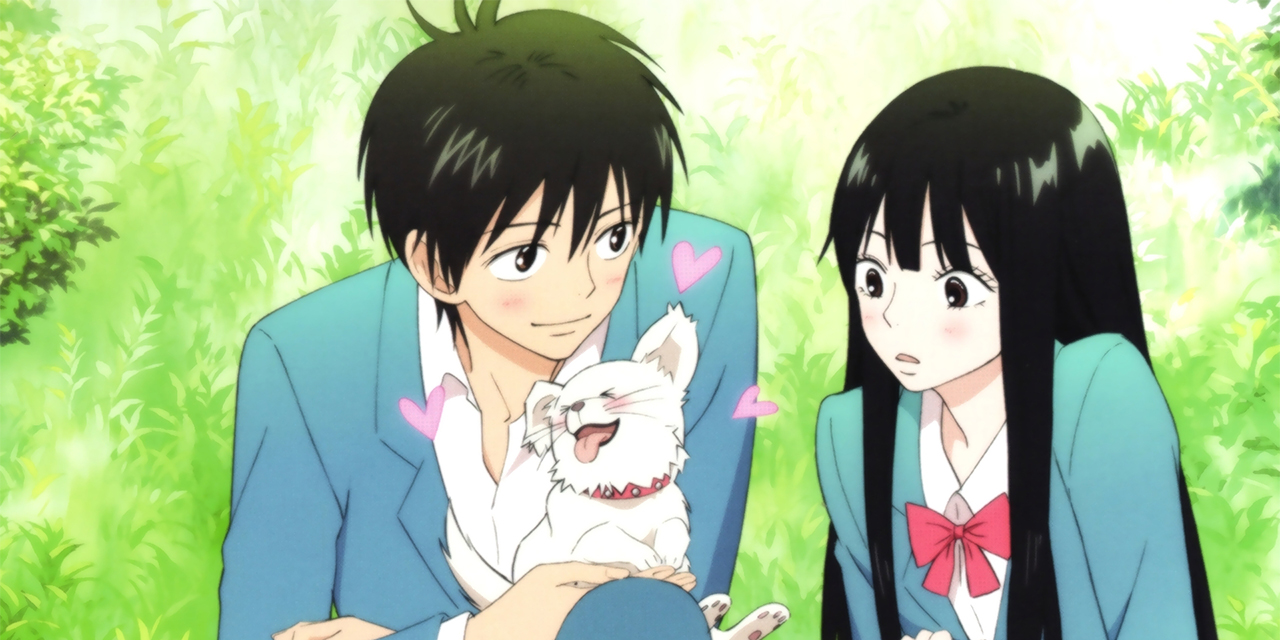 Kimi ni Todoke