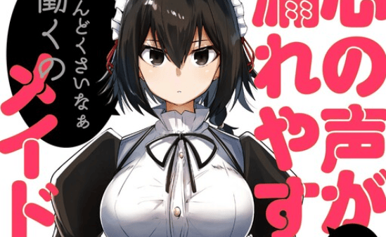 Kokoro no Koe ga Moreyasui Maid-san