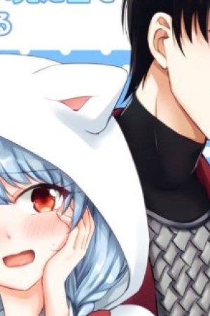 Sampul Netoge no Seibetsu wa Daitai Mitame de Damasareru