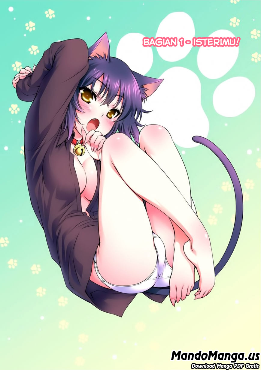 Nikukyuu!