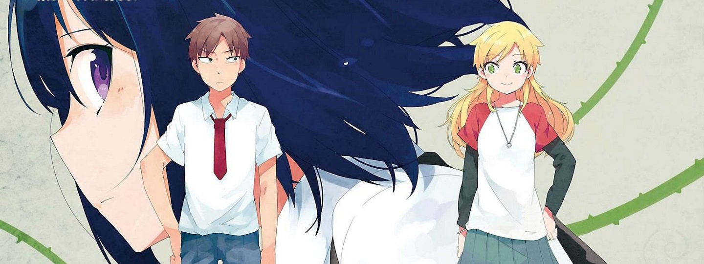 Ookami Shounen wa Kyou mo Uso wo Kasaneru