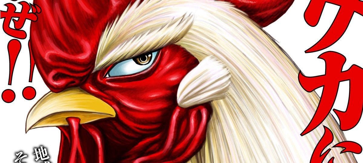 Rooster Fighter