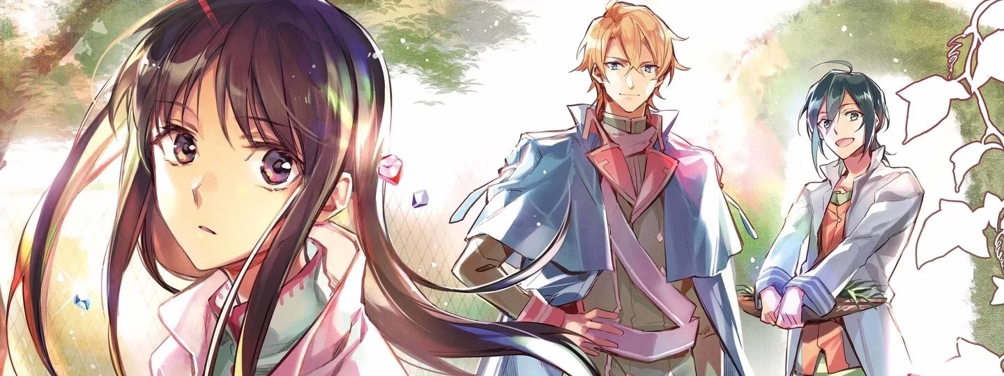 Seijo no Maryoku wa Bannou desu