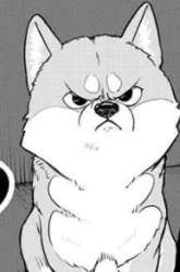 Manga Shiba-Tsuki Bukken gambar 2