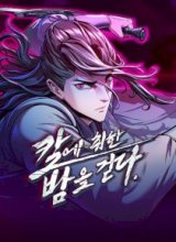 Sword Fanatic Wanders Through The Night