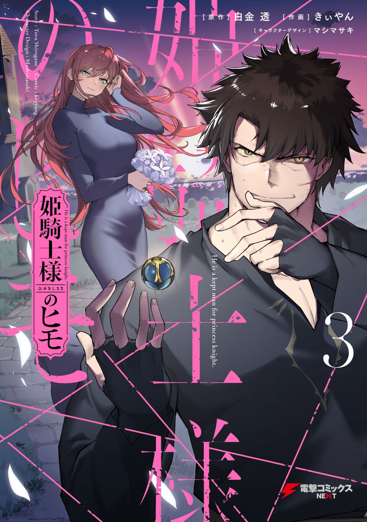 The Kept Man of the Princess Knight