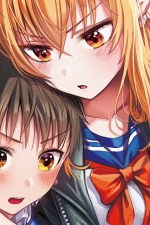 Sampul The Many Weaknesses of Ayaka the Yankee JK