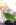 Manhua The School’s Strongest Special Forces gambar 2