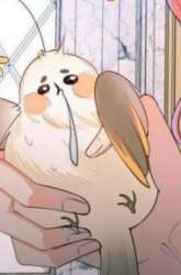 Manhua Transmigrating Through Every World to Be Your Black Lotus gambar 1