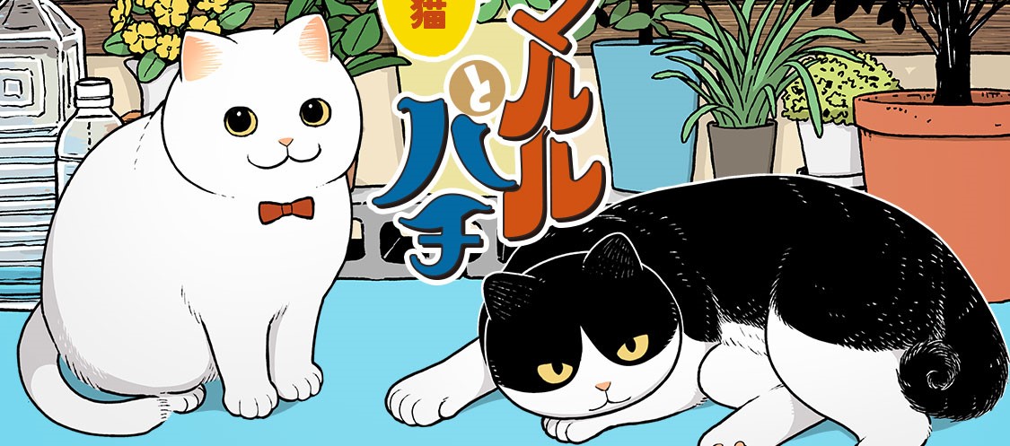 Tsureneko: Maruru to Hachi