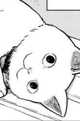 Komik Tsureneko: Maruru to Hachi Preview Gambar 1