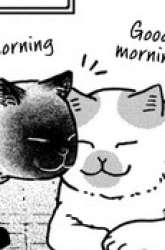 Komik Tsureneko: Maruru to Hachi Preview Gambar 3