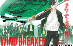 Wind Breaker (NII Satoru)