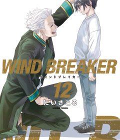 Baca  Wind Breaker (NII Satoru)