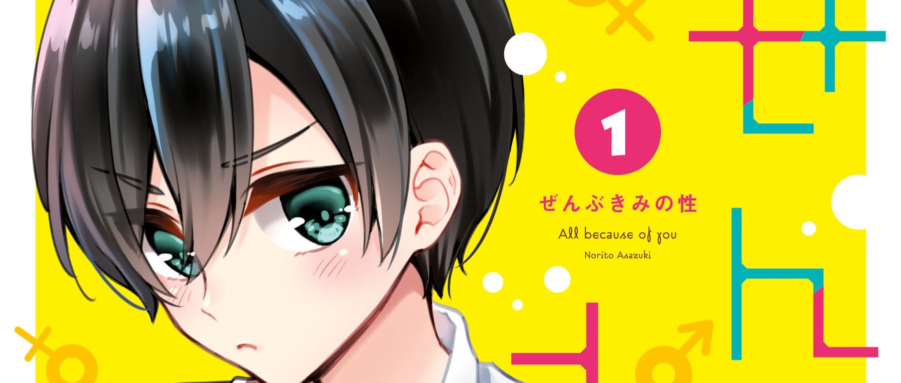 Zenbu Kimi no Sei