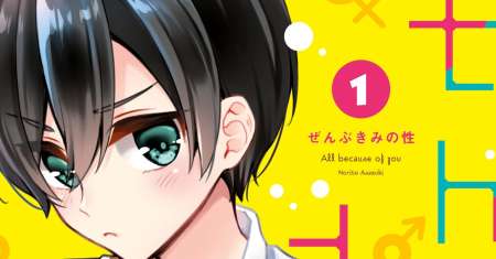 Zenbu Kimi no Sei